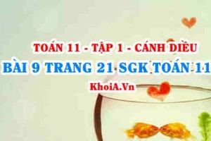 Bài 9 trang 21 SGK Toán 11 tập 1 Cánh Diều